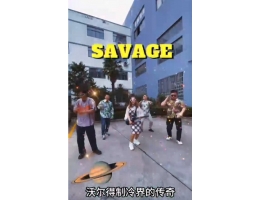 沃尔得青（qīng）春之（zhī）歌